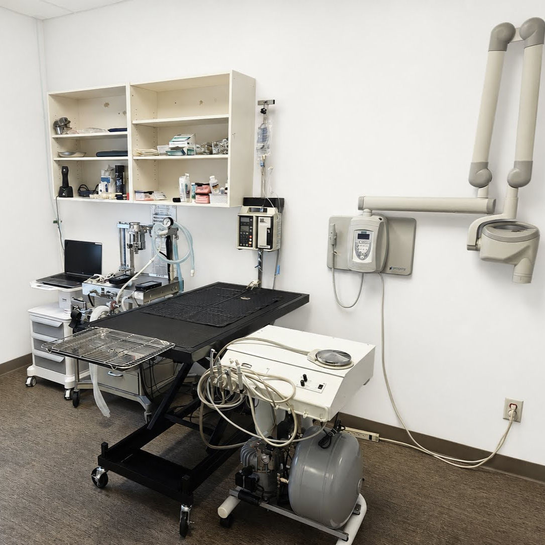 Blue Cross dental suite