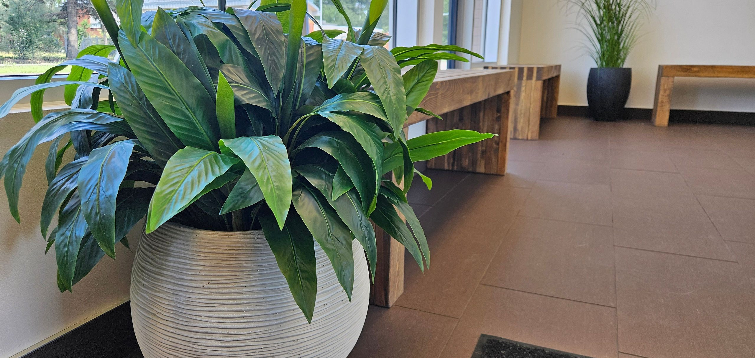 Reception and waiting area at Blue Cross Animal Hospital