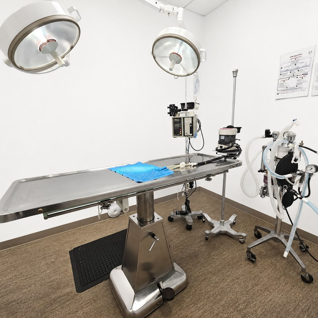 Blue Cross surgical suite